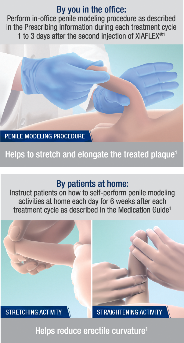By you in the office: Perform in-office penile modeling procedure as described in the Prescribing Information during each treatment cycle 1 to 3 days after the second injection of XIAFLEX® (1). By patients at home: Instruct patients on how to self-perform penile modeling activities at home each day for 6 weeks after each treatment cycle as described in the Medication Guide (1).