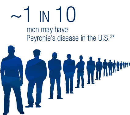 Up to 13 percent of men may have Peyronie's disease in the US* (1)
