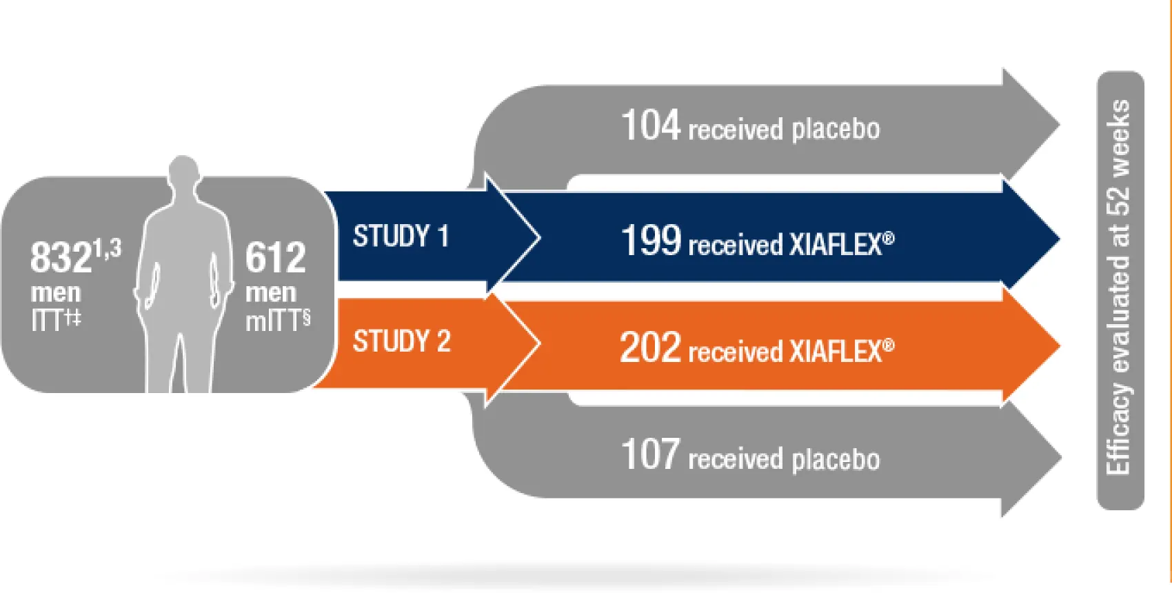 A graphic breakdown of the XIAFLEX vs placebo groups in the 2 large multicenter studies for Peyronie’s disease