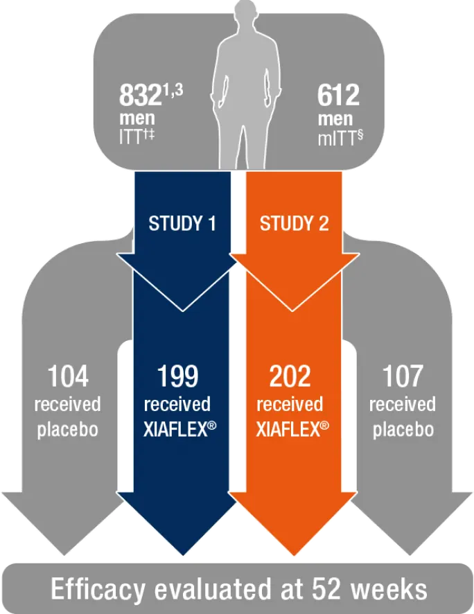 A graphic breakdown of the XIAFLEX vs placebo groups in the 2 large multicenter studies for Peyronie’s disease