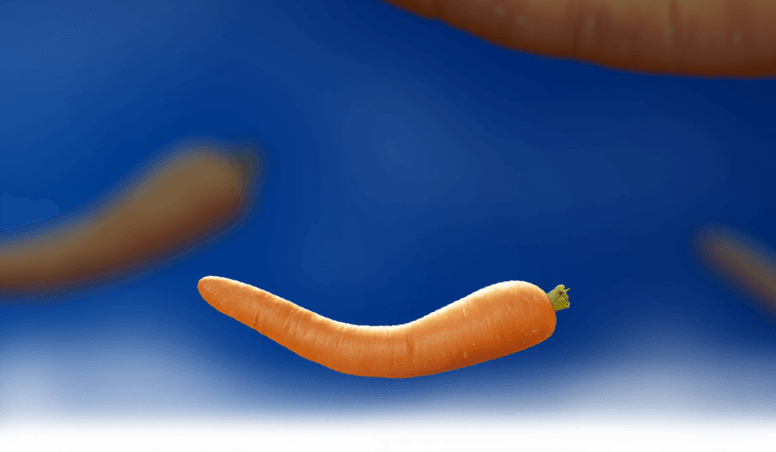 bent carrots floating on blue background