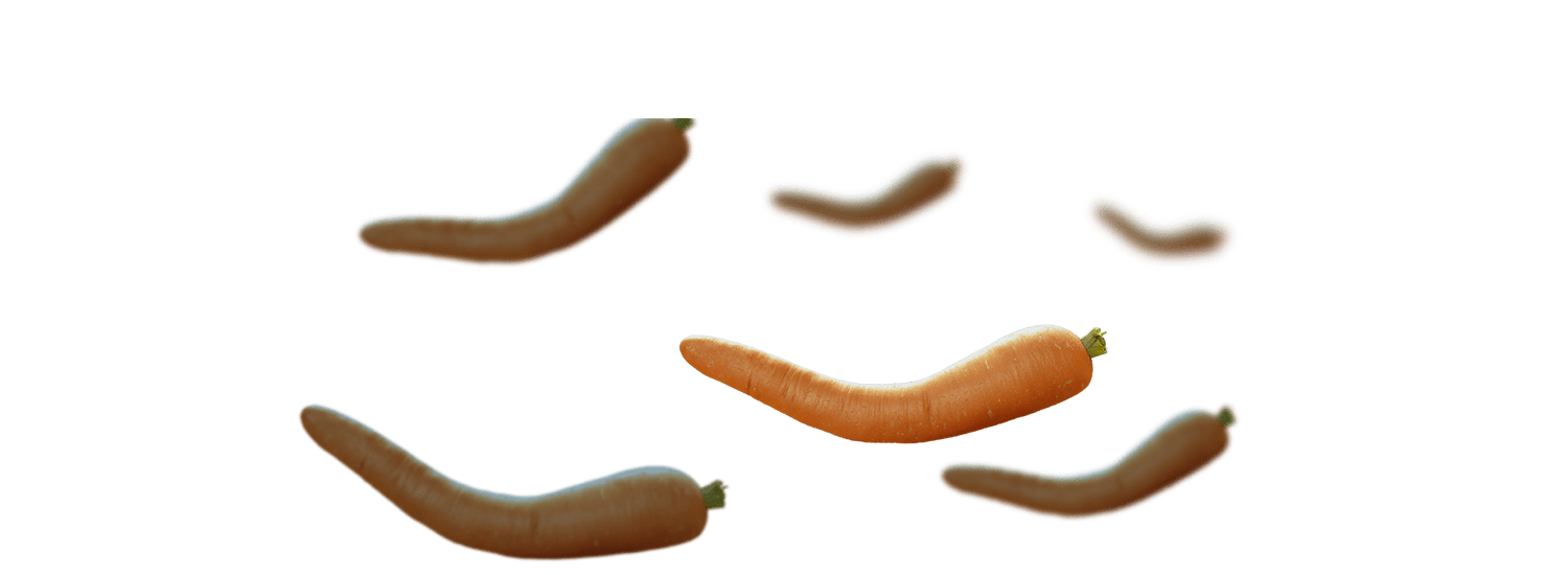 multiple bent carrots floating